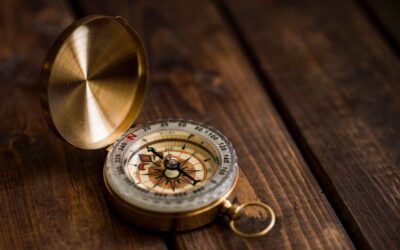 Inner-Directedness: Adjusting the Inner Compass to Drive Success as a Leader